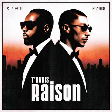 T'avais raison Cover